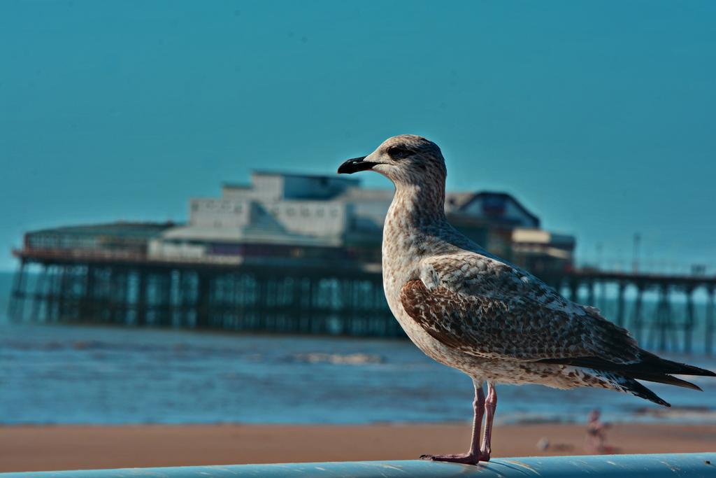 Tregenna Hotel Blackpool Luaran gambar